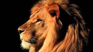Another Hallelujah by Lincoln Brewster