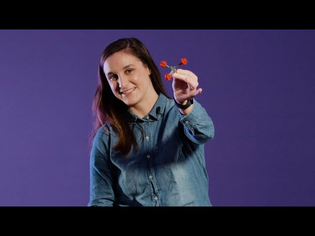 Portrait de femme en science: Laurence Savignac