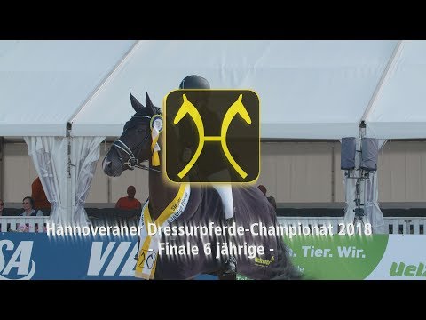 Hannoveraner Dressage Horse Championship 2018 - Six-year-olds