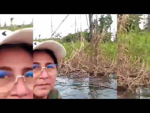 Casería, lugar (San José) 🦆🦆 Bolivia-Beni-Riberalta 