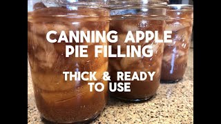 Perfectly Thickened Apple Pie Filling Canning Guide - Ready-to-Use Rebel Apple Recipe