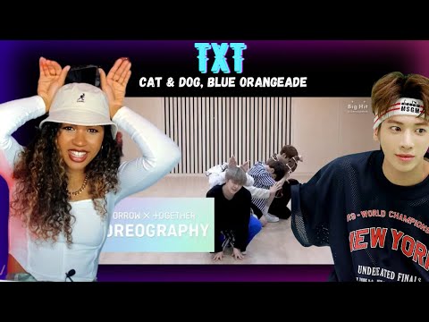 DANCE PRO Discovers TXT - Cat & Dog, Blue Orangeade (Dance Practices)
