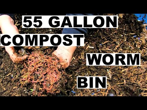 Massive Compost Worm Bin- Talk about beneficial Microbes