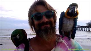 FORT MYERS BEACH FLORIDA USA / BRASSPINEAPPLE PRODUCTIONS