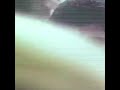 Ente Thenkasi Tamil Painkili Whatsapp Status