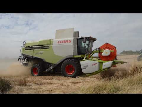 Harvest 2022 - Claas 740 Lexion Harvesting Dusty Wheat