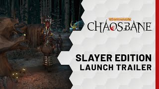 Игра Warhammer: Chaosbane Slayer Edition (PS5, русская версия)