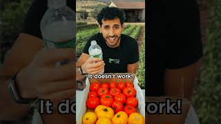 why we water plants drip by drip