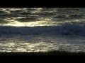 Guided Meditation - Dudley Evenson - Perfection