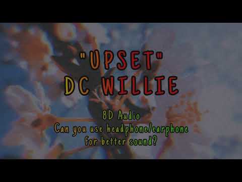 DC Willie - Upset (8D Project)