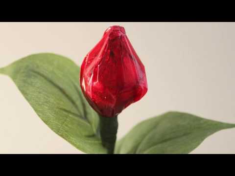 Hershey Kiss Ross 1 Minute Video