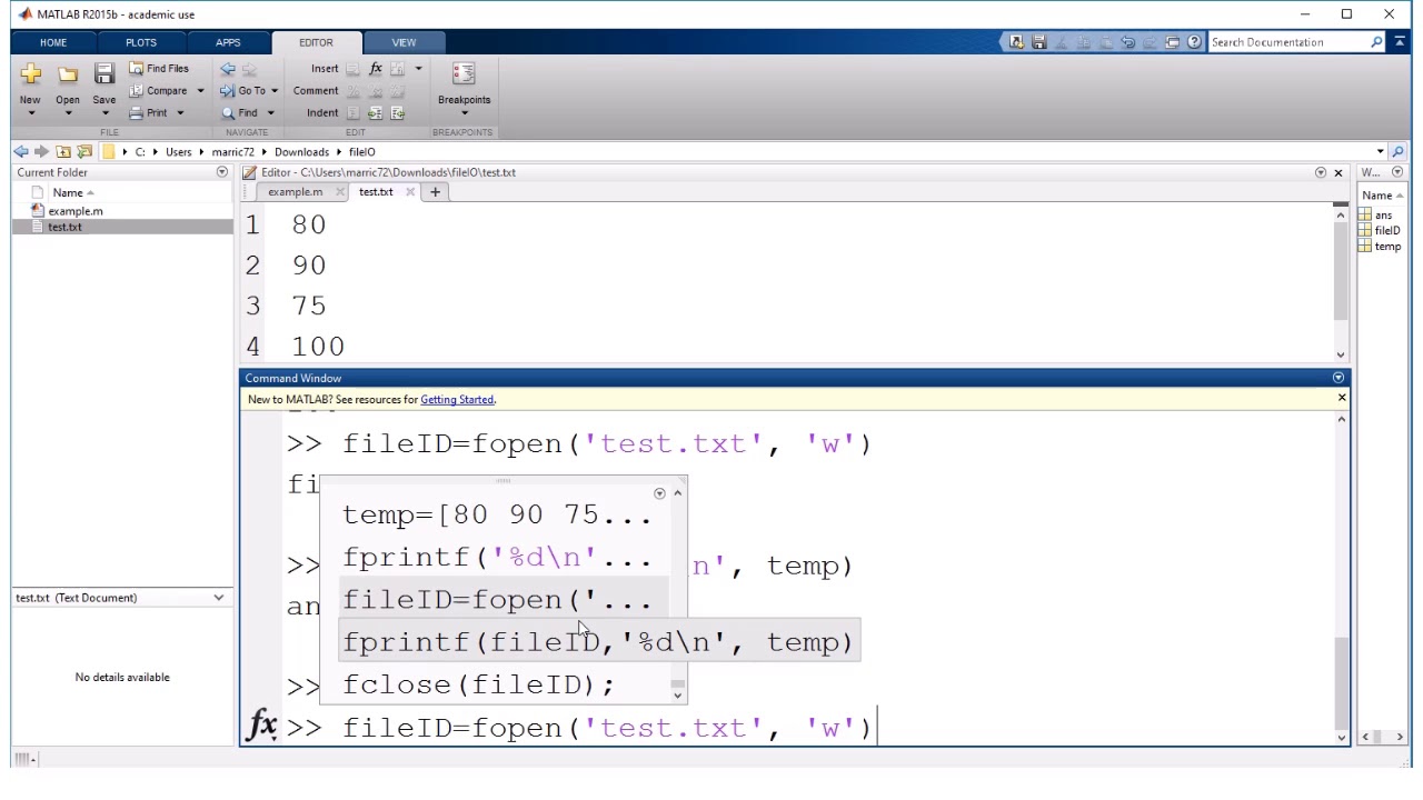 MATLAB file IO