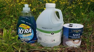 Natural Homemade Weed Killer Recipe Tested by Lawn Care Pro