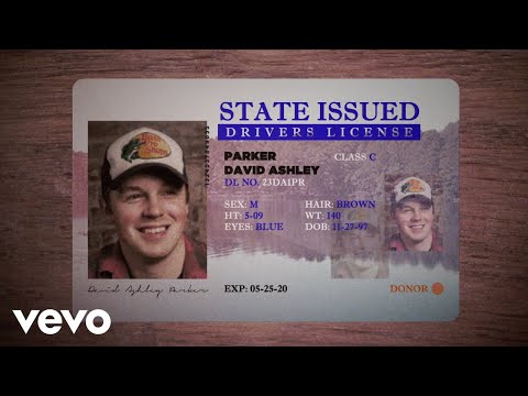 Travis Denning - David Ashley Parker From Powder Springs (Official Lyric Video)