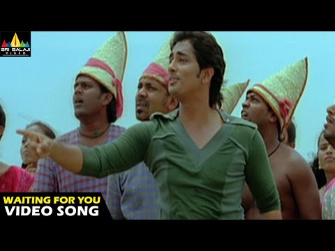 download lagu mp3 mp4 Waiting For You Baby, download lagu Waiting For You Baby gratis, unduh video klip Waiting For You Baby