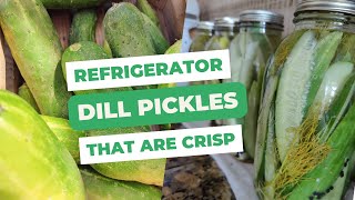 Refrigerator dill pickles recipe - without water bath canning!