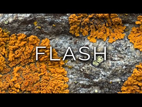 891-IT Roberta, FLASH - Ipnosi Esoterica ∞ Lucio Carsi