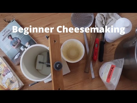 Beginner Cheesemaking Essentials: How to Start Making Cheese {VIDEO}