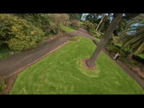 YOUNG ZEN   SHUJ TI Whoopty Remix  1