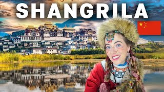 Upcoming videos – November 2024