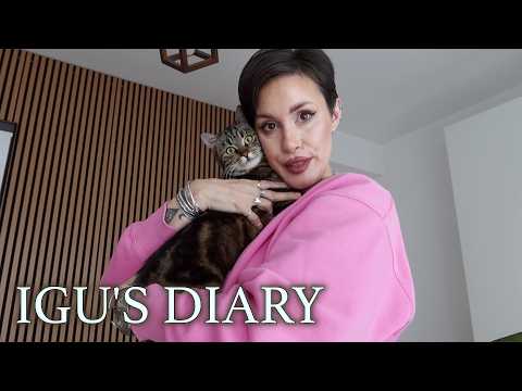 VLOG: The Motans Concert | Haul TEMU | We woke up with a fox at the window 🦊