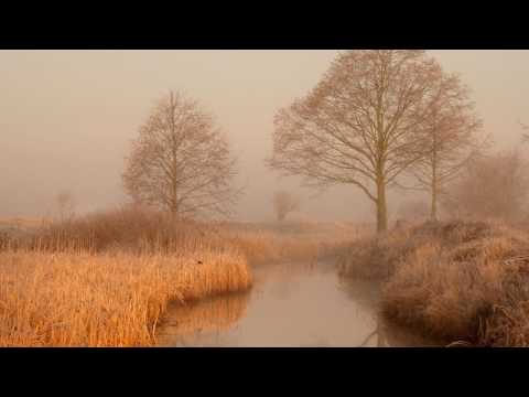 Killigrew - You (Chillstep)