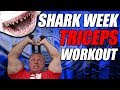 Megalodon Triceps Workout | Massive Tricep Pump 🦈