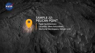 Meet the Mars Samples: Pelican Point (Sample 22)