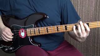 Vicini - CSI (Consorzio Suonatori Indipendenti) Bass line cover