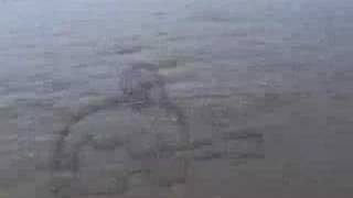 Funeral for a friend - out of reach