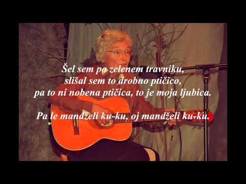 38 Silva Kosec - Šel sem po zelenem travniku