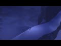 Frozen Let It Go Multilanguage 57 Languages PAL