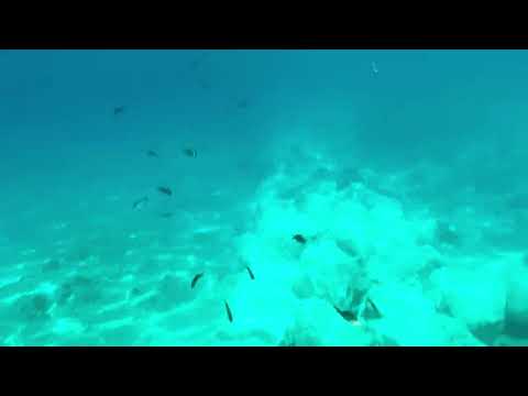 Chorwacja Rogoźnica Wakacje 2025