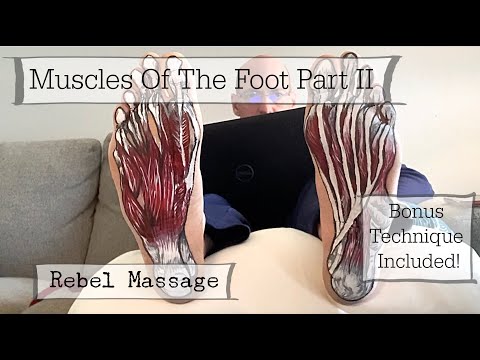 Foot Muscles Part II - PLUS A BONUS TECHNIQUE!