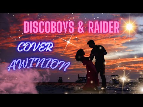 AWINION - DISCOBOYS & RAIDER (COVER)