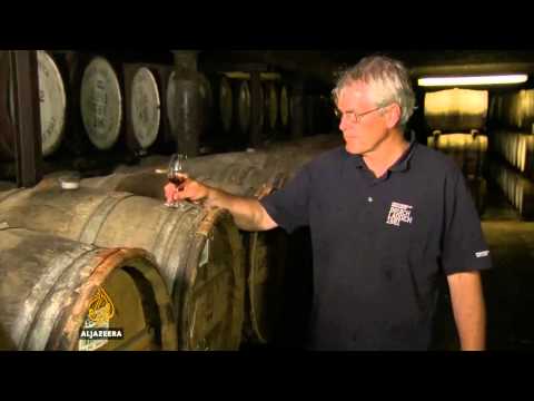 Proizvođači škotskog viskija zabrinuti zbog referenduma