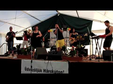 FTB Movin' Cruisin' - The Fantastic Oceans (FunThomasBand Cover)