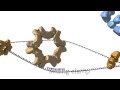 DNA Replication