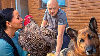 Жизнь в деревне.На хуторе не будет сада, кур, теплиц и котов,но будет новая душевая и гнёзда для кур