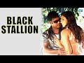 BLACK STANLIN Malayalam Movie Malayalam Super Hit Action Movies Action Romantic Malayalam Movies