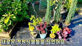 새로운 정원식물 언박싱!! 추운날 나무심고 왔어요!! 홍천정원일기12!!