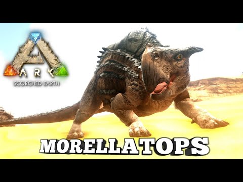 Taming A Morellatops | Ark Survival Evolved | Scorched Earth