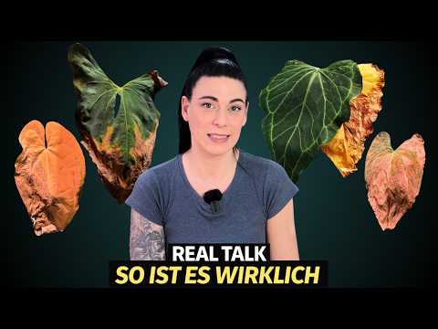 Totalausfall? Gelbe Blätter, Wurzelfäule und Spinnmilben So LEIDEN meine Zimmerpflanzen UNTER MIR 😰