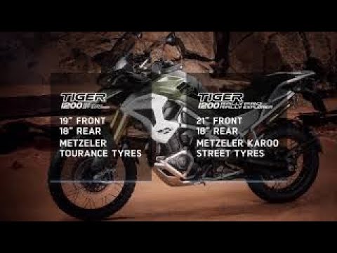 2023 Triumph Tiger 1200 Rally Pro with APR in Fort Wayne, Indiana - Video 5
