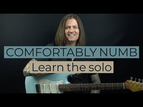 Pink Floyd Comfortably Numb Guitar Lesson - Learn The Solo In 30 Minutes With Bobby Harrison