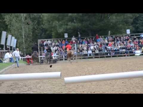 Hengstparade Moritzburg - Kosakenreiterei 15.09.2013