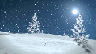 Merry Christmas and a Happy New Year 2011!