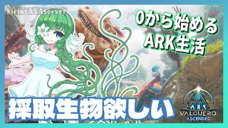 【ASA:Val】い　つ　も　の【ふかしぎch】