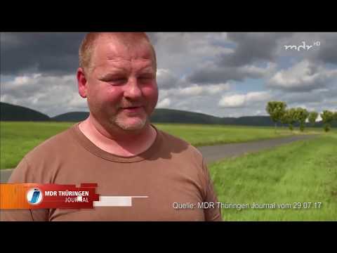 Wolf in Thüringen gesichtet   MDR Thüringen Journal