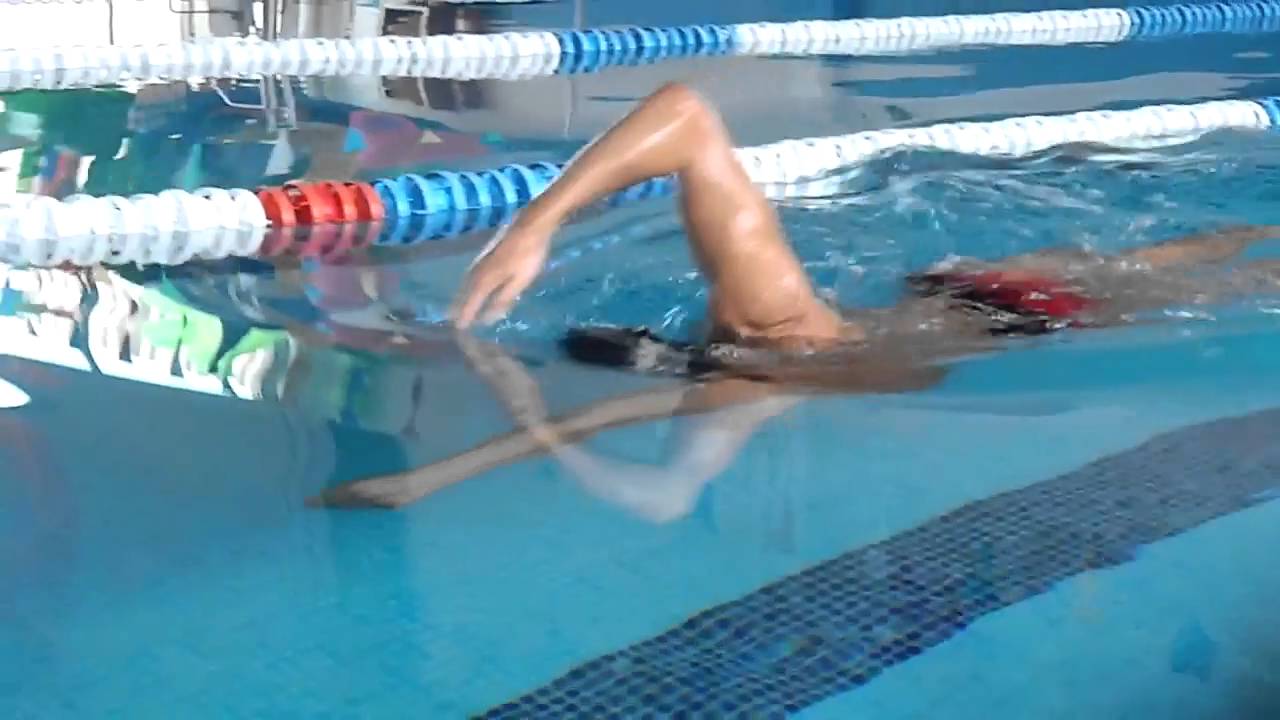Total Immersion  9 strokes ( Exercise)